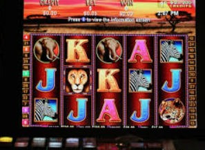 华体app官方下载入口免费版