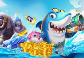 华体app官方下载入口2024最新版